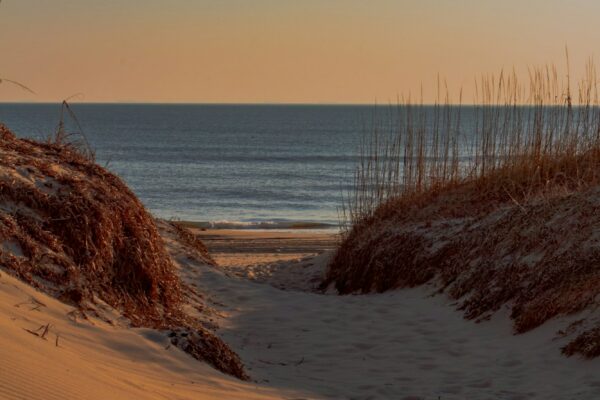 The coast view from the dunes